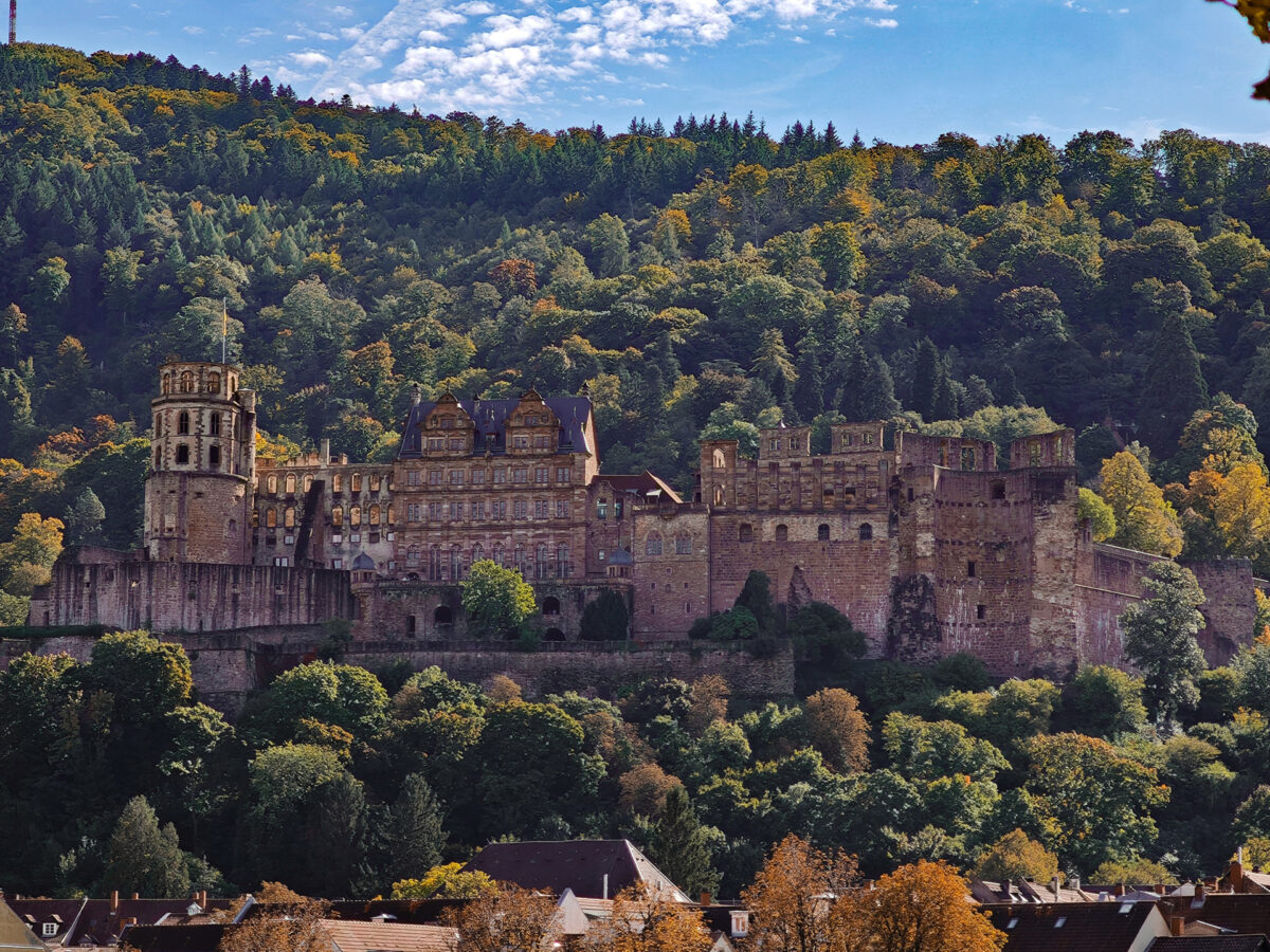 IMG_20251008_131055a