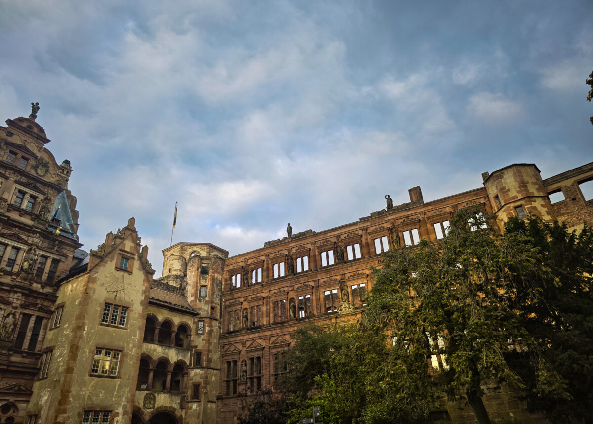 IMG_20251011_171938 - Copy