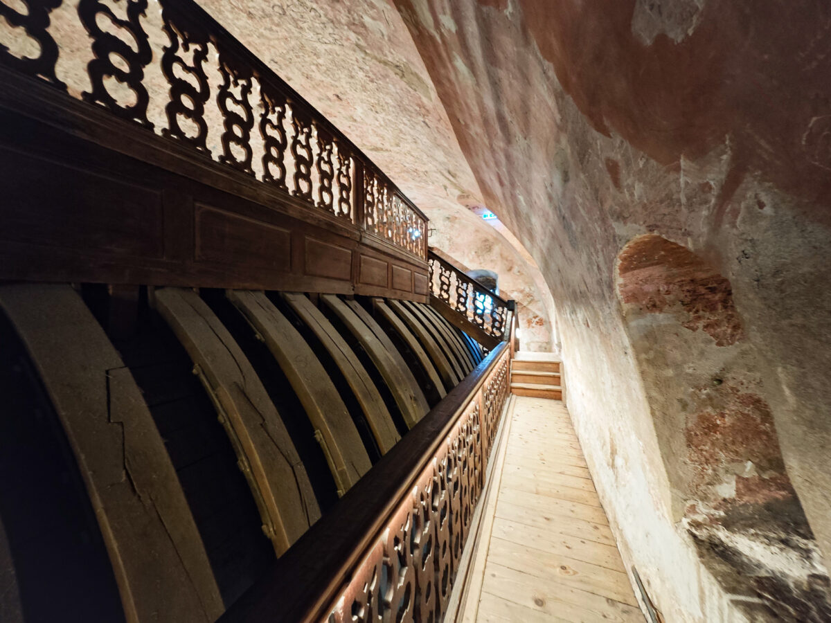 IMG_20251011_174344 - Copy